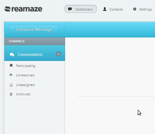 Reamaze default window