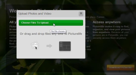 picturelife upload files