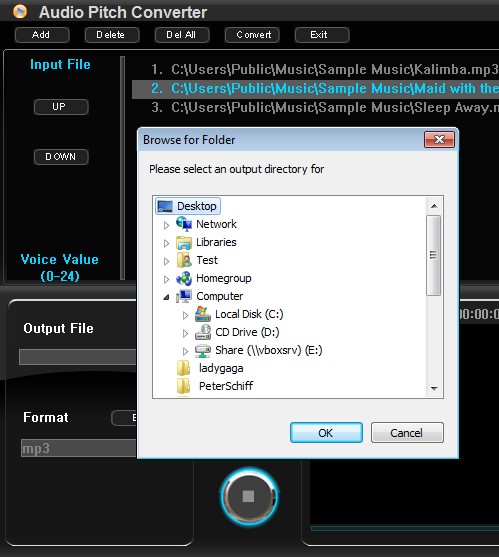 Audio Pitch Converter select output