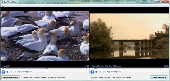 DualVideoPlayer-interface.jpg