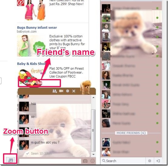 Facebook Chat Platinum chat window