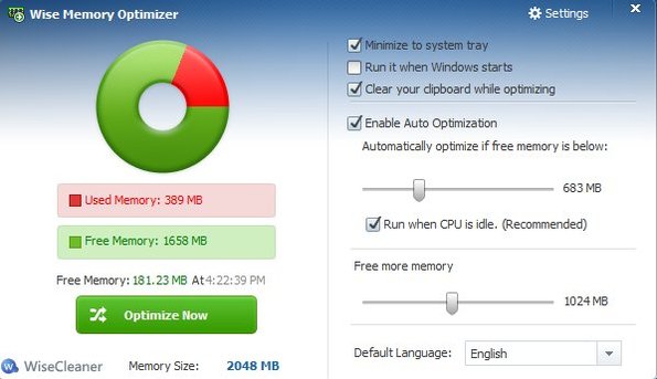 Wise Memory Optimizer options