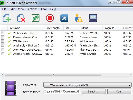 ESFSoft Video Converter- interface