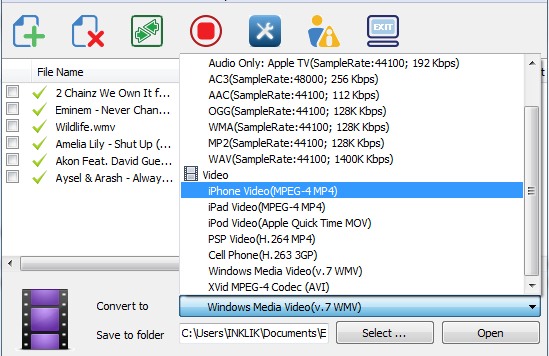 ESFSoft Video Converter- select output format