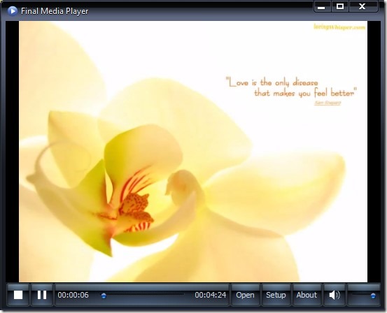 Final Media Player- interface