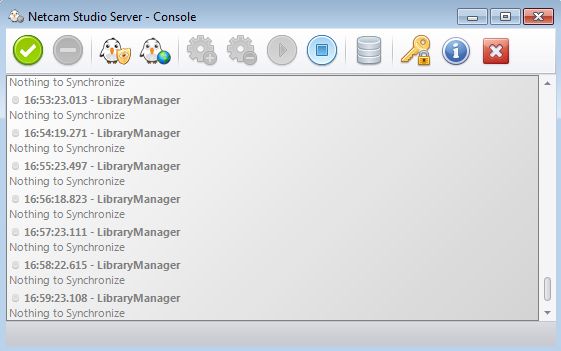 Netcam Studio Server default window