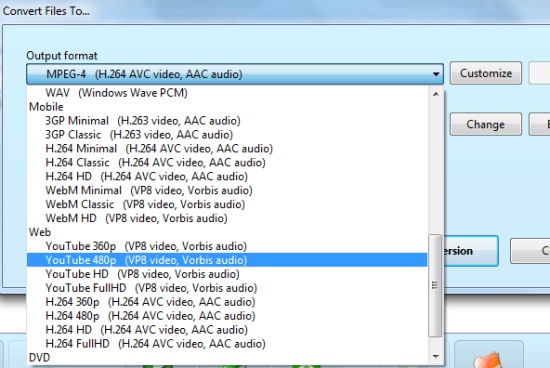 SuperSimple Video Converter- select output format