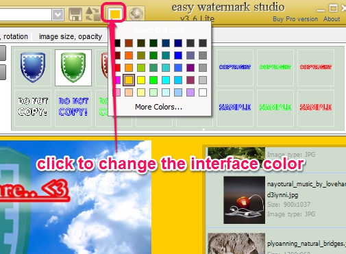 Easy Watermark Studio Lite- change color of interface