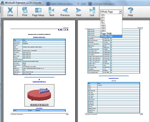 WinAudit- print preview