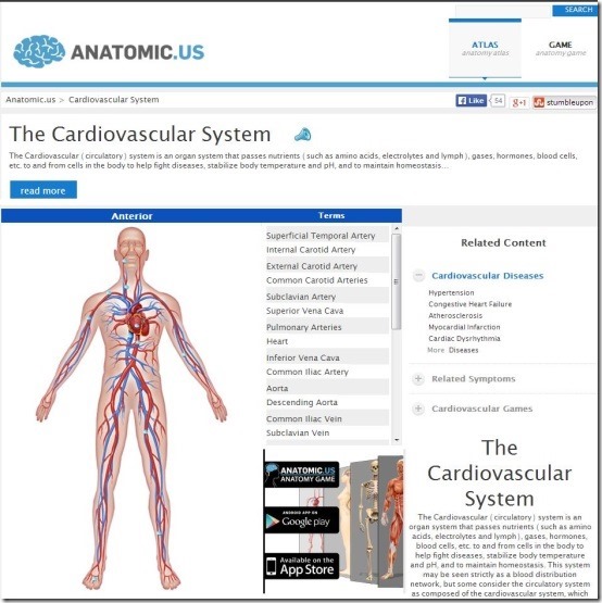 Anatomicus - Human Anatomy Atlas