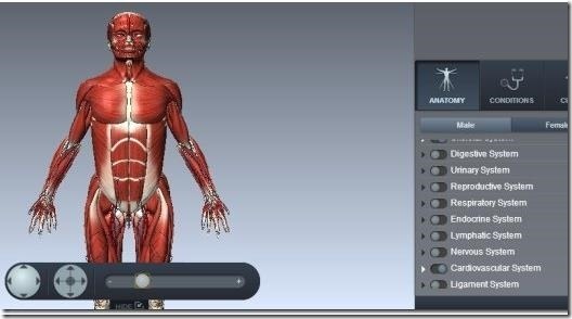 BioDigital Human