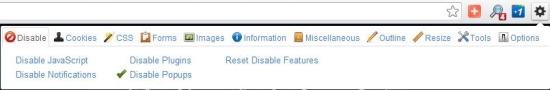 Free Web Developer Chrome Extention - Web Developer - Interface