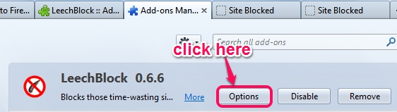 LeechBlock- access Options