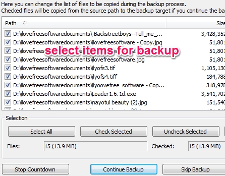 Back4Sure- select items for backup