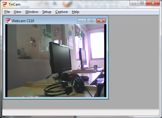 Free Webcam Surveillance Software - TinCam - Interface