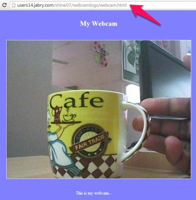 Free Webcam Surveillance Software - TinCam - On the website