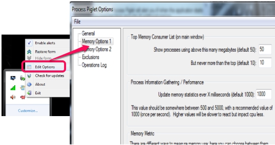 Process Piglet- edit options