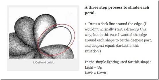 Toad Hollow Studio-drawing lessons-tutorial