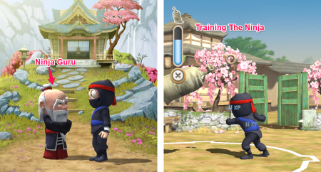 Training and Ninja Guru