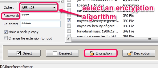 select an encryption algorithm and encrypt files