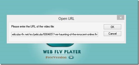 AnvSoft Web FLV Player - opening web flv video