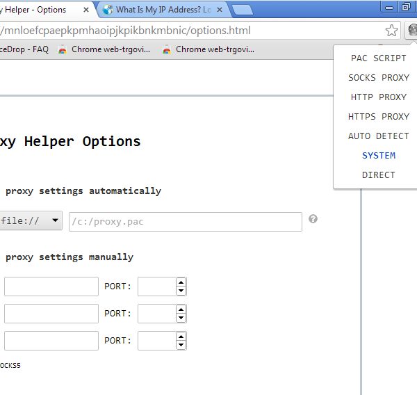 Chrome proxy extensions proxy helper