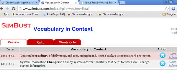 chrome vocabulary extensions-1