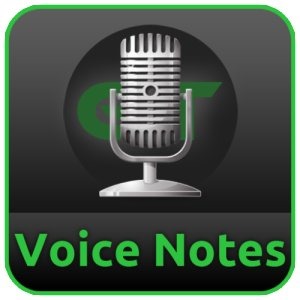 voice notes