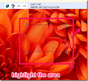 imagemapper highlighting area