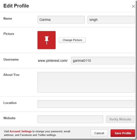 Pinterest Lite- Edit Profile options