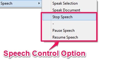 Speech - Control Option