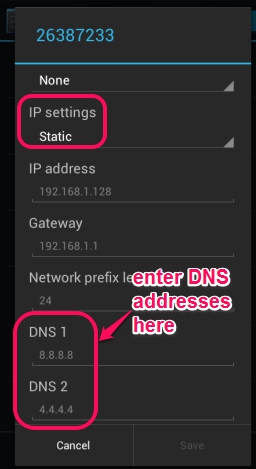enter DNS addresses
