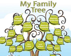 online family tree-icon
