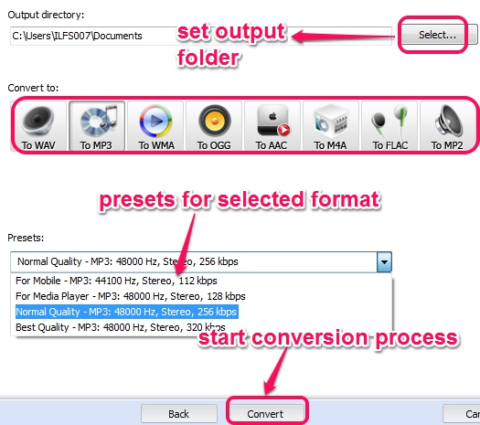 select output format and preset