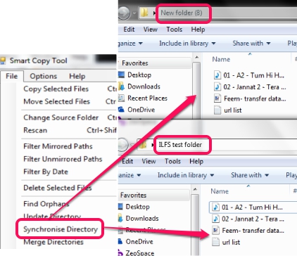 synchronize directory