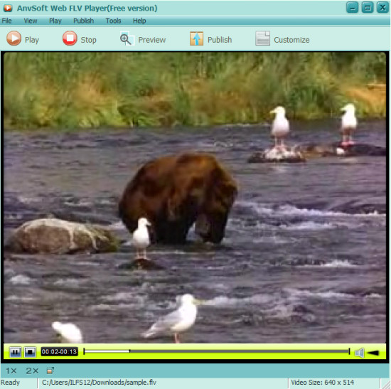 AnvSoft web flv player