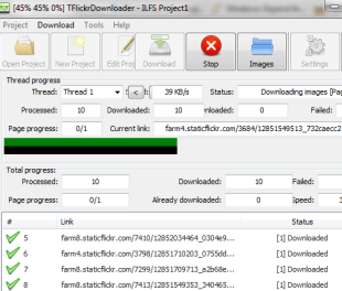 TFlickrDownloader