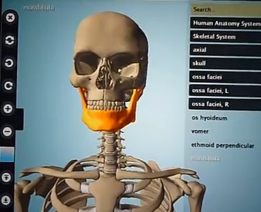 chrome human anatomy extensions