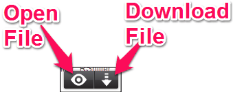 rollApp Chrome Extension file icon