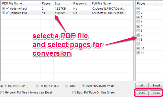 select PDF pages for conversion