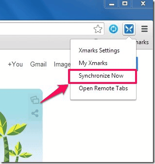 Xmarks-Synchronize Now