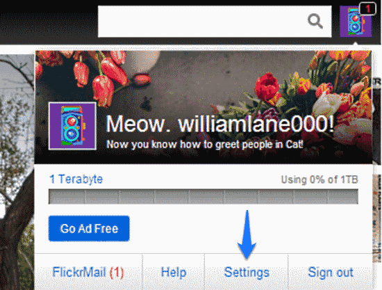 flickr settings access