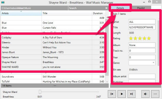 Waf Music Manager-Edit Metadata