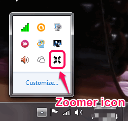 Zoomer tray icon
