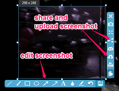 capture and save screenshot