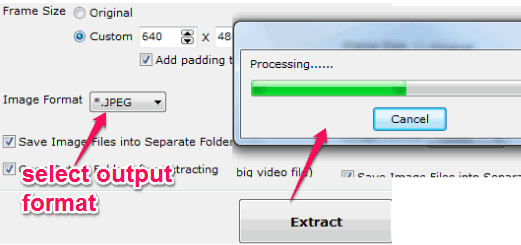 select output format and start extraction process