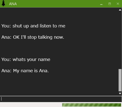 ANA- personal chat bot software