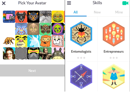 Select Avatar and Skills