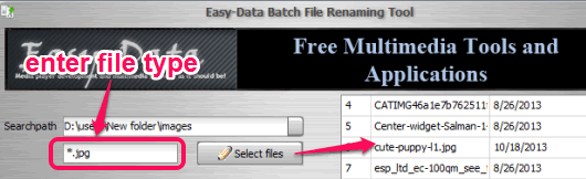 enter file type and fetch list of those files