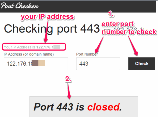 enter port number to check